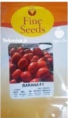 توزیع بذر گوجه فرنگی بارانا در امیدیه در گروه خرید و فروش بذر گوجه در یکمیوه