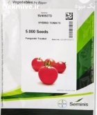 فروش بذر گوجه 4592 sv سمینیس در تایباد در گروه خرید و فروش بذر گوجه در یکمیوه