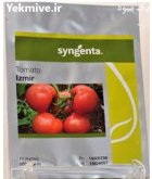 بذر گوجه فرنگی گلخانه ای ازمیر در آبعلی در گروه خرید و فروش بذر گوجه در یکمیوه