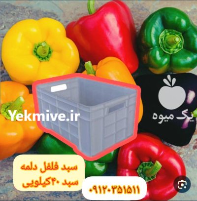 قیمت خرید سبد پلاستیکی فلفل دلمه در اصفهان در گروه خرید و فروش انواع سبد در یکمیوه -عکس2
