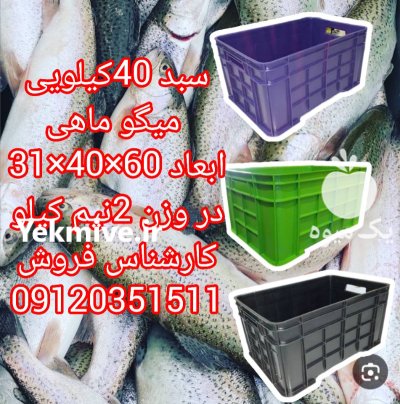 قیمت سبد 40 کیلویی سبد در بوشهر در گروه خرید و فروش انواع سبد در یکمیوه -عکس2