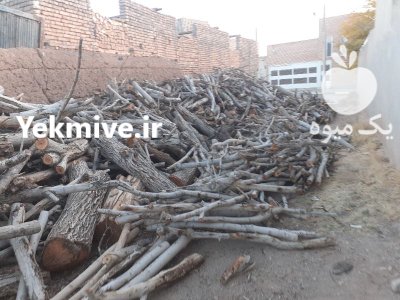 چوب گردو چوب گردو در اصفهان در گروه خرید و فروش انواع چوب در یکمیوه -عکس1