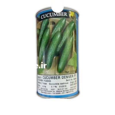 بذر خیار دنور هیبرید در پلدشت در گروه خرید و فروش بذر خیار در یکمیوه -عکس1