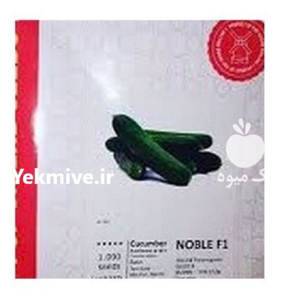 بذر خیار نوبل F 1 در آرادان در گروه خرید و فروش بذر خیار در یکمیوه -عکس1