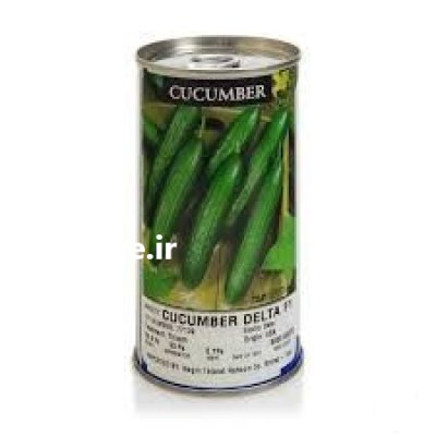 بذر خیار دلتا در آسمان آباد در گروه خرید و فروش بذر خیار در یکمیوه -عکس1