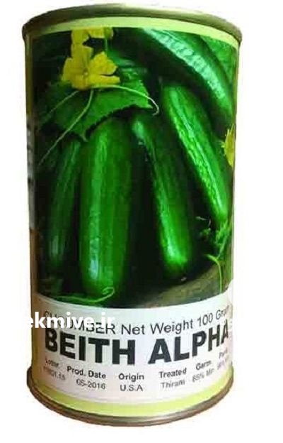 بذر خیار بیت آلفا در پیرانشهر در گروه خرید و فروش بذر خیار در یکمیوه -عکس1