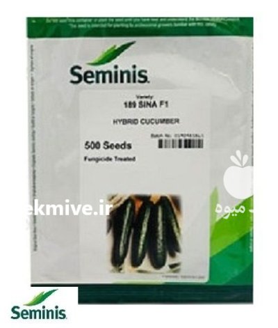 بذر خیار 189 سینا سمینیس در طالقان  در گروه خرید و فروش بذر خیار در یکمیوه -عکس1