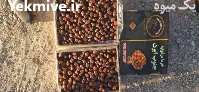 خرمای خاصویی فله در اصفهان در گروه خرید و فروش خرما در یکمیوه -عکس1