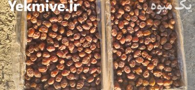 خرمای خاصویی فله در اصفهان در گروه خرید و فروش خرما در یکمیوه -عکس2