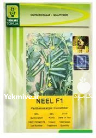 فروش بذر خیار نیل در باغستان در گروه خرید و فروش بذر خیار در یکمیوه -عکس1