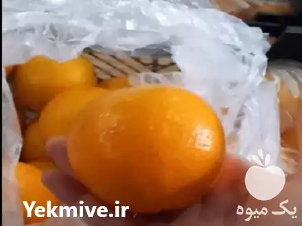 صادرات مرکبات پرتقال در ساری در گروه خرید و فروش پرتقال در یکمیوه -عکس1