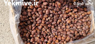قیمت خرمای خاصویی فله لوکس در تهران در گروه خرید و فروش خرما در یکمیوه -عکس2