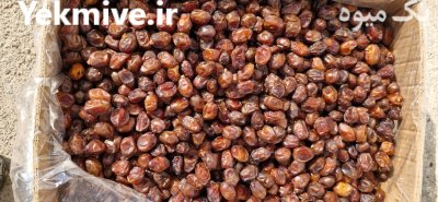 قیمت خرمای خاصویی فله لوکس در تهران در گروه خرید و فروش خرما در یکمیوه -عکس4
