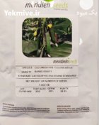 بذر خیار باراد s 500 در آواجیق در گروه خرید و فروش بذر خیار در یکمیوه