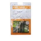 بذر خیار ویولا در ارسک در گروه خرید و فروش بذر خیار در یکمیوه