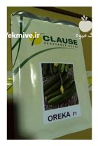 بذر خیار اورکا کلوز آمریکا در حاجی آباد در گروه خرید و فروش بذر خیار در یکمیوه