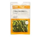 بذر خیار گلخانه ای گوهر در بایگ در گروه خرید و فروش بذر خیار در یکمیوه