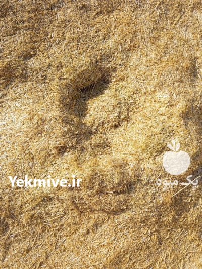 کاه و علوفه در سهرورد در گروه خوراک دام و طیور در یکمیوه -عکس1