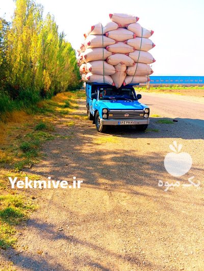 کاه و علوفه در سهرورد در گروه خوراک دام و طیور در یکمیوه -عکس2