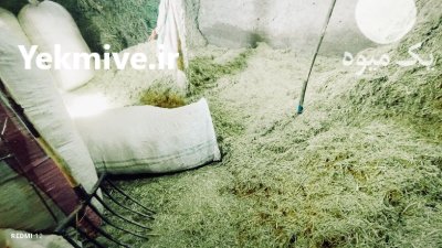 کاه و علوفه در سهرورد در گروه خوراک دام و طیور در یکمیوه -عکس3