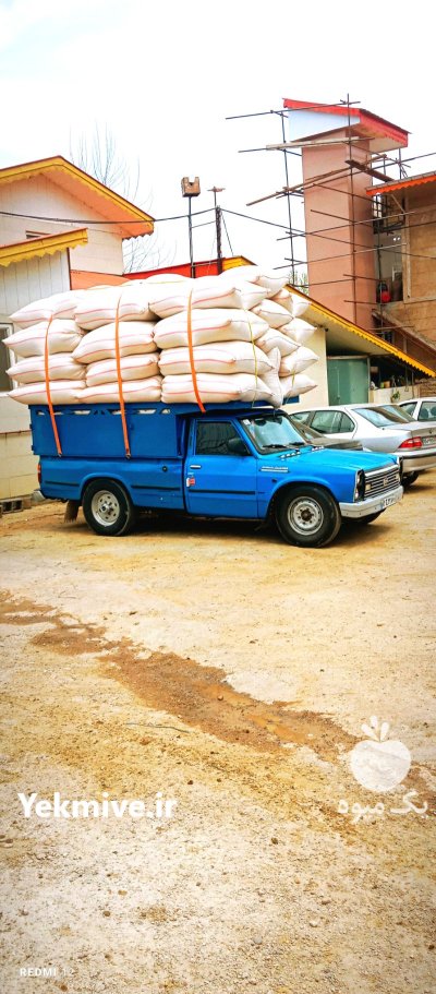 کاه و علوفه در سهرورد در گروه خوراک دام و طیور در یکمیوه -عکس4