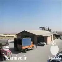 قیمت خرید خاک پرلیت برای استفاده در تبریز در گروه خرید و فروش انواع کود کشاورزی در یکمیوه