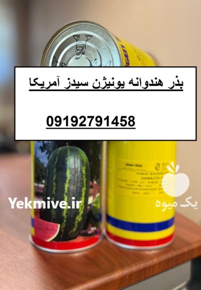 بذر هندوانه استاندارد خطی یونیژن در بار  در گروه خرید و فروش بذر هندوانه در یکمیوه -عکس1