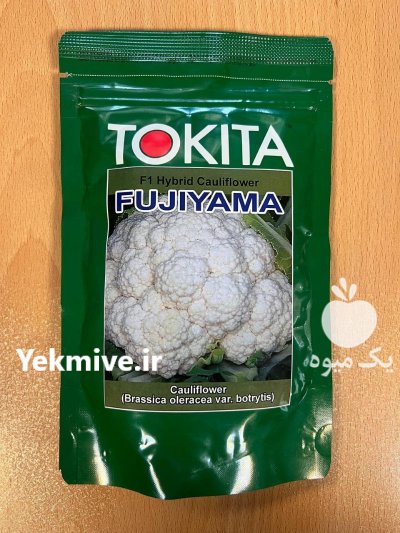 گل کلم فوجی یاما رقمی زودرس در دیشموک در گروه خرید و فروش انواع بذر در یکمیوه -عکس1