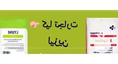 خوراک طیور فروش لیزین در تهران در گروه خوراک دام و طیور در یکمیوه -عکس1