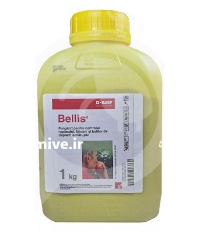 سم بلیس Bellis بی اس اف در اهواز در گروه خرید و فروش انواع سم در یکمیوه -عکس1