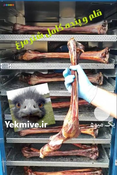 غذا تشویقی پروتئینی سگ در تهران در گروه سگ و گربه در یکمیوه -عکس2