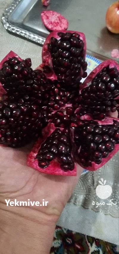 فروش انار صادراتی در خان ببین در گلستان در گروه خرید و فروش انار در یکمیوه -عکس1
