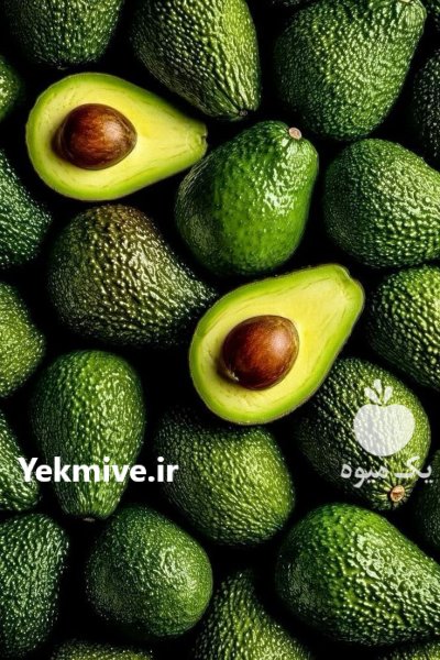 فروش انواع نهال آووکادو در سلمان در سلمان شهر در گروه خرید و فروش نهال آووکادو در یکمیوه -عکس4