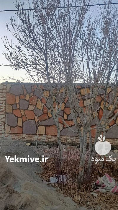 اجرای سنگ لاشه فروش سنگ لاشه در آبسرد در گروه سازنده در یکمیوه -عکس3