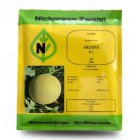 بذر ملون اریانا در جیرفت در گروه خرید و فروش بذر ملون در یکمیوه