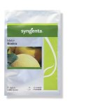 بذر ملون بشرا در اهواز در گروه خرید و فروش بذر خربزه در یکمیوه