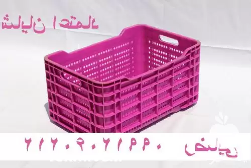 سبد حمل ماهی و میگو در قزوین در گروه خرید و فروش انواع سبد در یکمیوه -عکس1