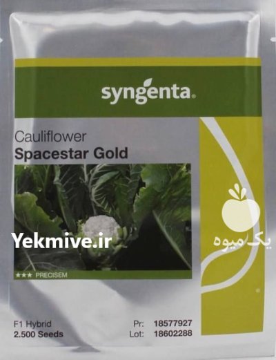 بذر گل کلم اسپیس استار در آبپخش در گروه خرید و فروش انواع بذر در یکمیوه -عکس1