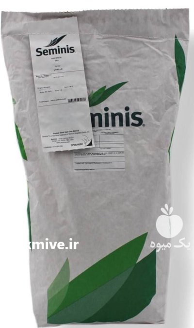 بذر نخود فرنگی اترلیو در بندردیلم در گروه خرید و فروش بذر نخود در یکمیوه -عکس1