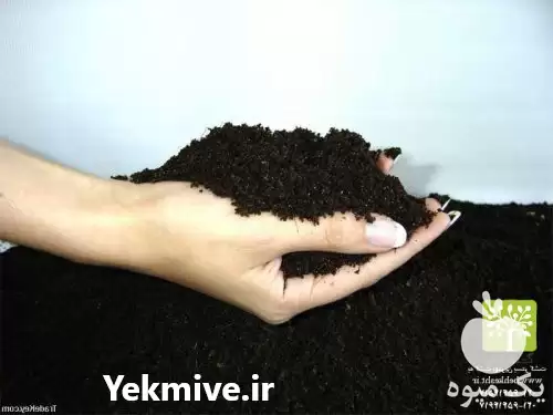 فروش کود آلی و ارگانیک ورمی در تهران در گروه خرید و فروش کود کمپوست در یکمیوه -عکس1
