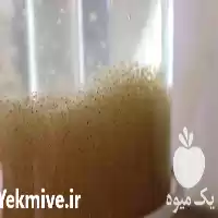 پرورش فروش انواع ماهیان تزئینی کوی در سنگر در گروه خرید و فروش انواع ماهی در یکمیوه