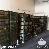 قیمت خرید نبشی پلاستیکی بسته بندی در اصفهان در گروه انواع بسته بندی محصول در یکمیوه