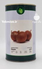 فروش بذر پیاز زرد دایان فلات در قزوین در گروه خرید و فروش بذر پیاز در یکمیوه