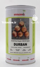 بذر پیاز زرد دوربان اماسید در قم در گروه خرید و فروش بذر پیاز در یکمیوه