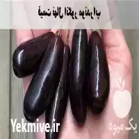 قیمت خرید انواع نهال انگور ایرانی در کرج در گروه خرید و فروش نهال انگور در یکمیوه