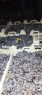 انگور سیاه و دیم سرشت ره شه در میرآباد در گروه خرید و فروش انگور در یکمیوه