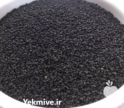 فروش تخم خرفه در شرکت دارکوب در تهران در گروه خرید و فروش ادویه در یکمیوه -عکس1