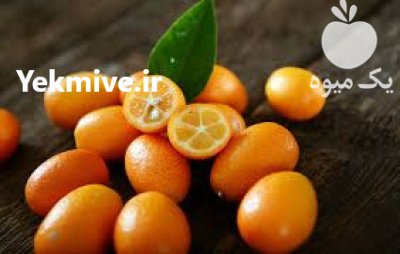 فروش کامکوات در عباس آباد در مازندران در گروه خرید و فروش میوه استوایی در یکمیوه -عکس1