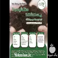 آزمایشگاه خاکشناسی تشخیصی در شیراز در گروه آزمایش خاک در یکمیوه