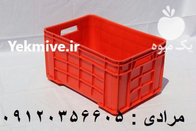 فروش سبد ماهی سبد ابزیان در قزوین در گروه خرید و فروش انواع سبد در یکمیوه -عکس1